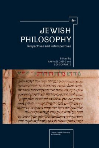 Knjiga Jewish Philosophy Dov Schwartz