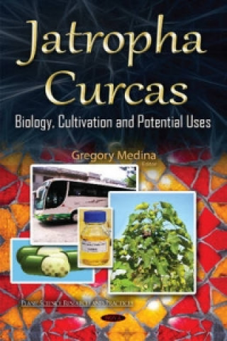 Libro Jatropha Curcas 