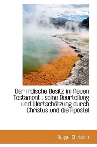 Книга Irdische Besitz Im Neuen Testament Rogge Christian