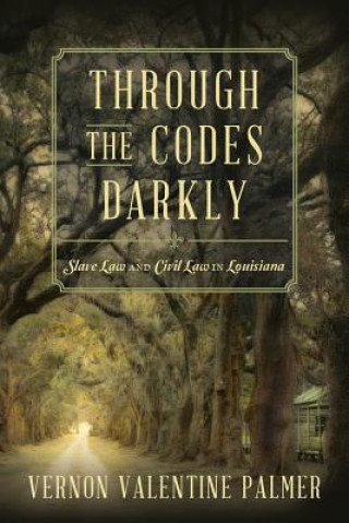 Книга Through the Codes Darkly Palmer