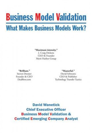 Książka Business Model Validation David Wanetick