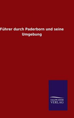 Knjiga Fuhrer durch Paderborn und seine Umgebung Ohne Autor