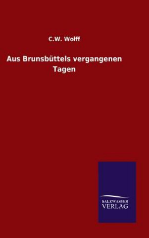 Buch Aus Brunsbuttels vergangenen Tagen C W Wolff