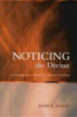 Buch Noticing the Divine John Mabry