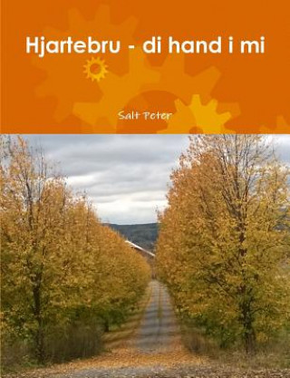 Kniha Hjartebru - Di Hand I Mi Salt Peter