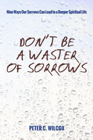 Buch Don't Be a Waster of Sorrows Peter C Wilcox