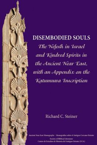 Βιβλίο Disembodied Souls Richard C Steiner