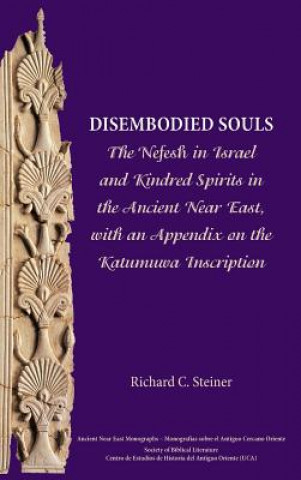 Kniha Disembodied Souls Richard C Steiner