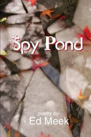 Knjiga Spy Pond Ed Meek