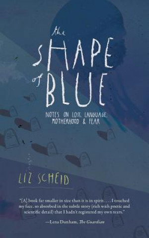 Könyv Shape of Blue Liz Scheid