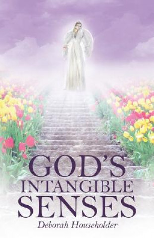 Buch God's Intangible Senses Deborah Householder