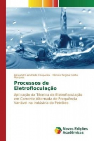 Книга Processos de Eletrofloculacao Costa Marques Monica Regina