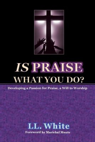 Buch Is Praise What You Do? LL White