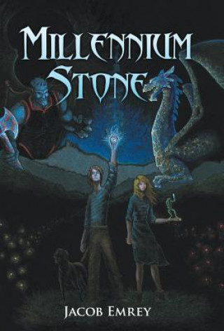Book Millennium Stone Jacob Emrey