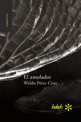 Libro amolador Waldo Perez Cino