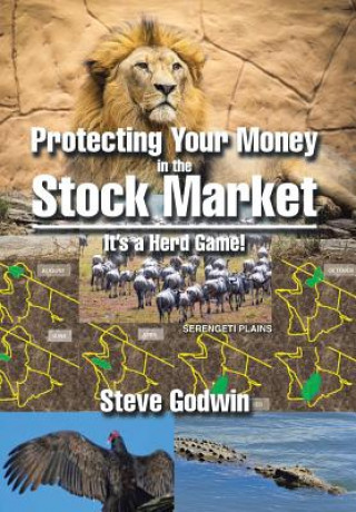 Carte Protecting Your Money in the Stock Market Steve Godwin
