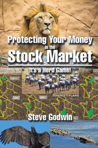 Könyv Protecting Your Money in the Stock Market Steve Godwin