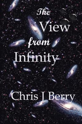 Kniha View from Infinity Chris J Berry