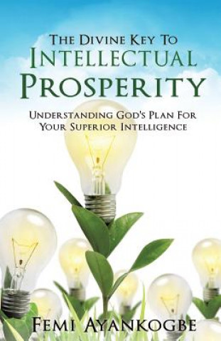 Книга Divine Key To Intellectual Prosperity Femi Ayankogbe