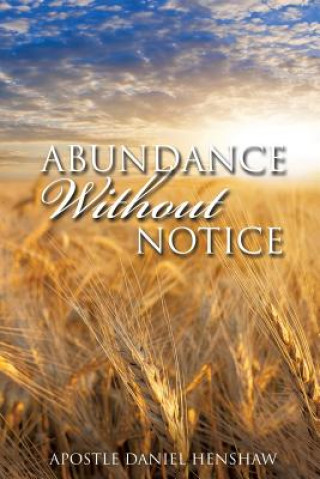 Könyv Abundance Without Notice Apostle Daniel Henshaw