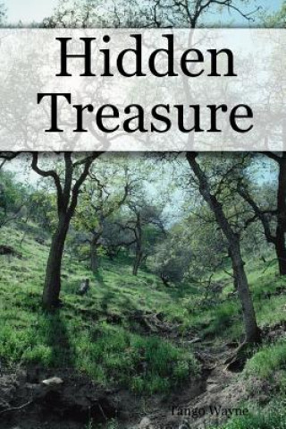 Boek Hidden Treasure Tango Wayne