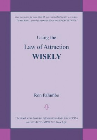 Könyv Using the Law of Attraction Wisely Ron Palumbo