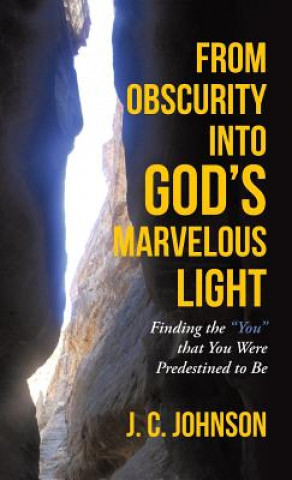 Carte From Obscurity into God's Marvelous Light J C Johnson