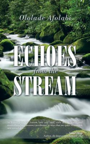 Książka Echoes from the Stream Ololade Afolabi