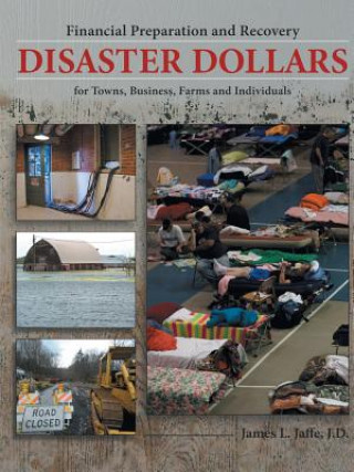 Книга Disaster Dollars J D James L Jaffe