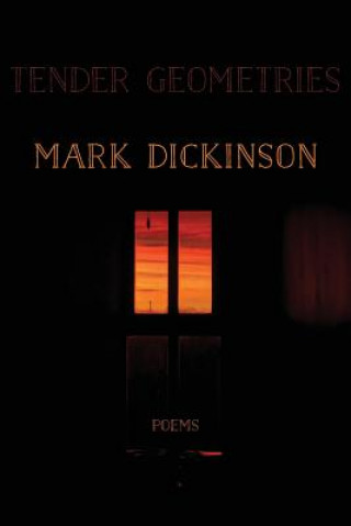 Kniha Tender Geometries Mark Dickinson