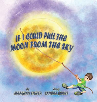 Книга If I Could Pull the Moon from the Sky Meaghan Fisher