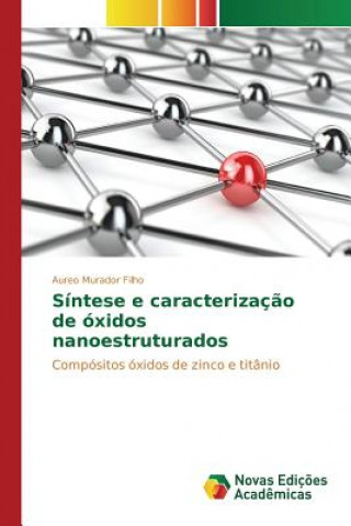 Książka Sintese e caracterizacao de oxidos nanoestruturados Murador Filho Aureo