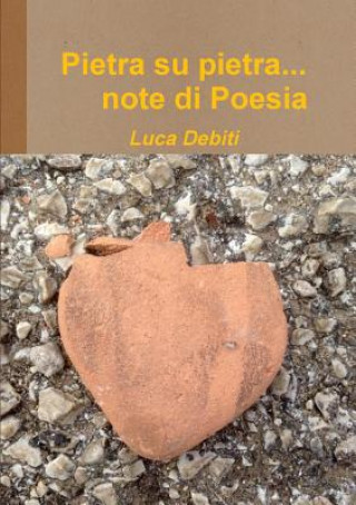 Buch Pietra Su Pietra... Note Di Poesia Luca Debiti