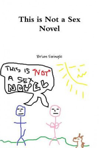 Kniha This is Not a Sex Novel Brian Swingle