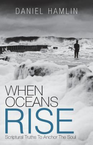 Kniha When Oceans Rise Daniel Hamlin