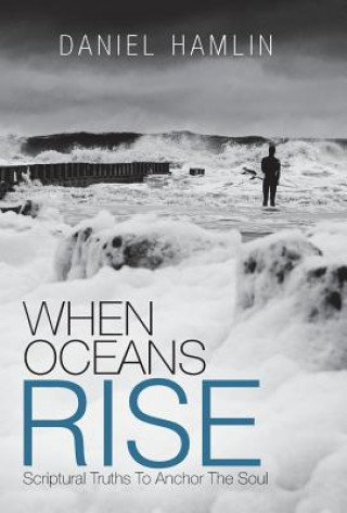 Knjiga When Oceans Rise Daniel Hamlin