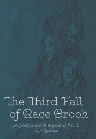 Carte Third Fall of Race Brook Quillan