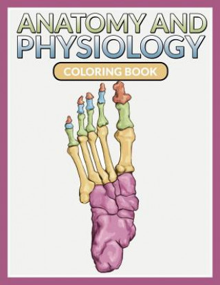 Книга Anatomy And Physiology Coloring Book Speedy Publishing LLC