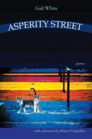 Könyv Asperity Street Gail White