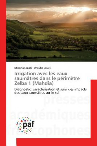 Carte Irrigation Avec Les Eaux Saumatres Dans Le Perimetre Zelba 1 (Mahdia) Louati Dhouha
