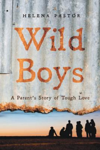 Kniha Wild Boys: A Parent's Story of Tough Love Helena Pastor