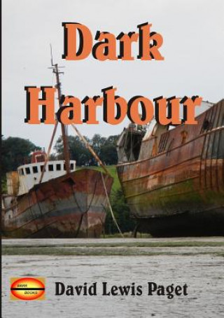 Buch Dark Harbour David Lewis Paget