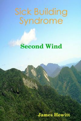 Könyv Sick Building Syndrome: Second Wind James P. Hewitt