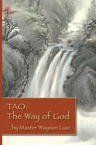 Könyv Tao the Way of God Waysun Liao