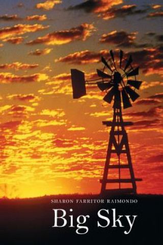 Book Big Sky Pb Sharon Farritor Raimondo