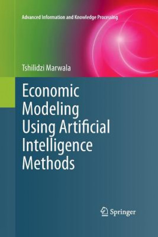 Kniha Economic Modeling Using Artificial Intelligence Methods Marwala