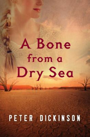 Book Bone from a Dry Sea Peter Dickinson