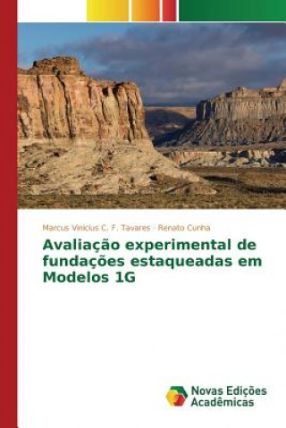 Książka Avaliacao experimental de fundacoes estaqueadas em Modelos 1G Cunha Renato