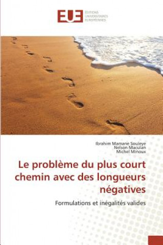 Carte Le Probleme Du Plus Court Chemin Avec Des Longueurs Negatives Minoux Michel