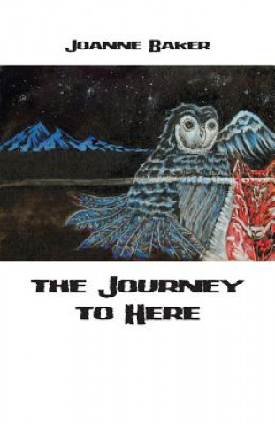 Kniha Journey to Here Joanne Baker